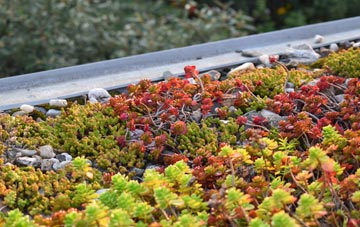 the cost of Rockfield green roof installation