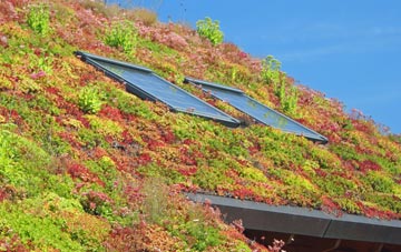 Rockfield living roof systems