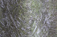 Rockfield fibreglass roof work
